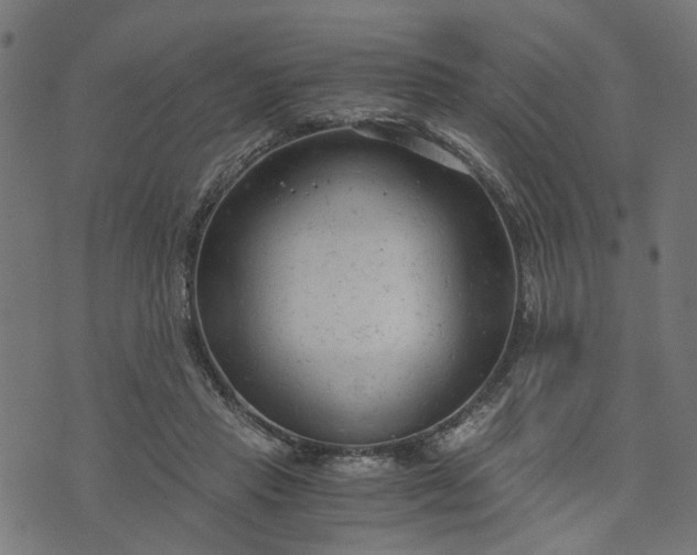 X0000073720453200608171207