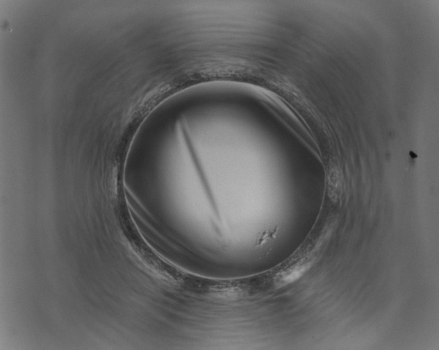 X0000073720454200608171208