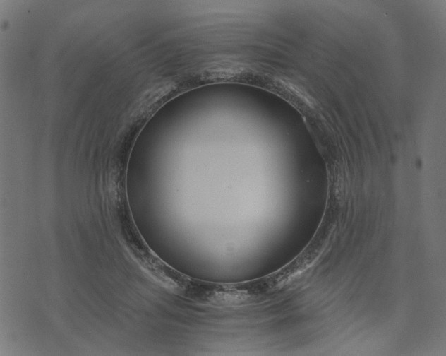 X0000073720455200608171208