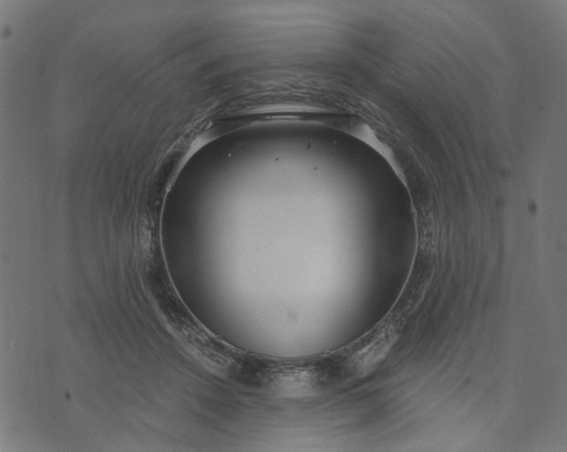 X0000073720456200608171208