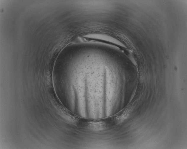 X0000073720457200608171208