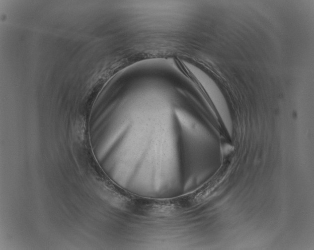 X0000073720458200608171208