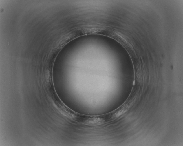 X0000073720459200608171208