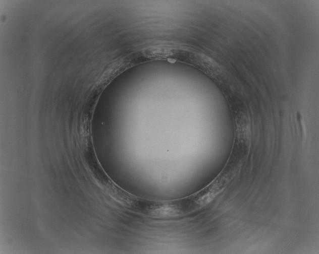 X0000073720460200608171208