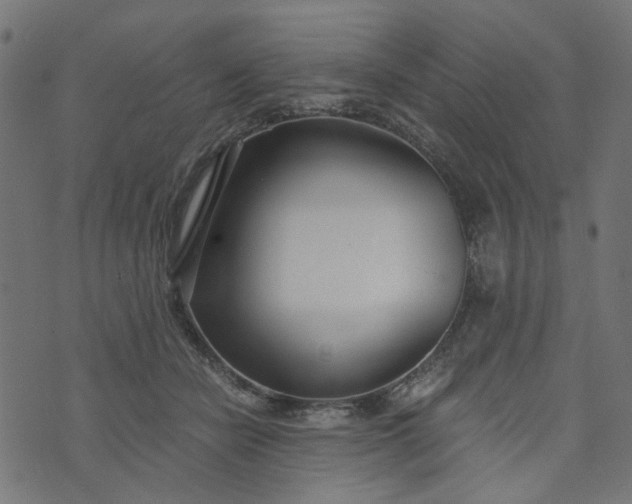 X0000073720462200608171208