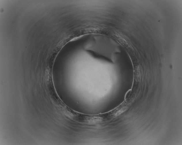 X0000073720463200608171208