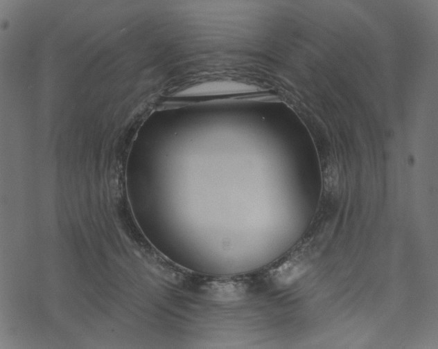 X0000073720464200608171208