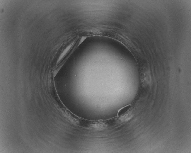 X0000073720466200608171208