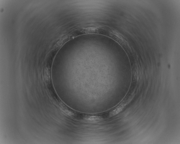 X0000073720467200608171208