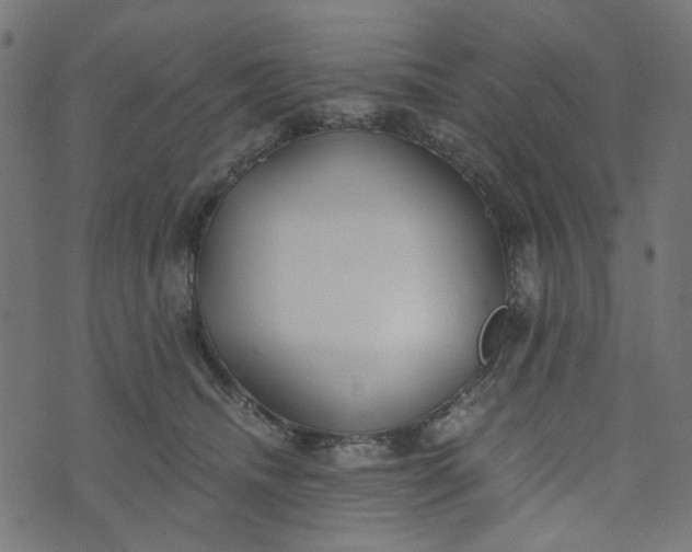 X0000073720468200608171208