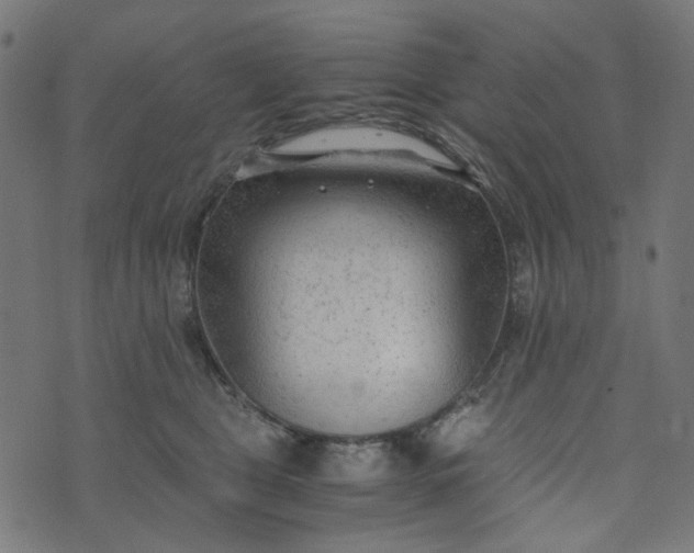 X0000073720469200608171208