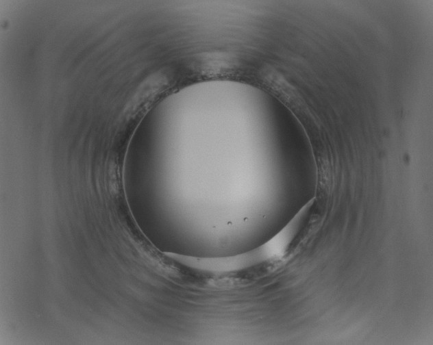 X0000073720470200608171208