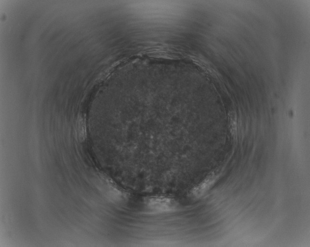 X0000073720471200608171208