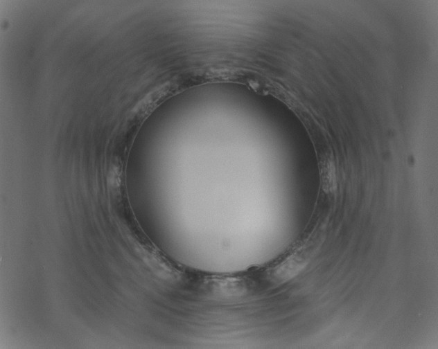 X0000073720472200608171208