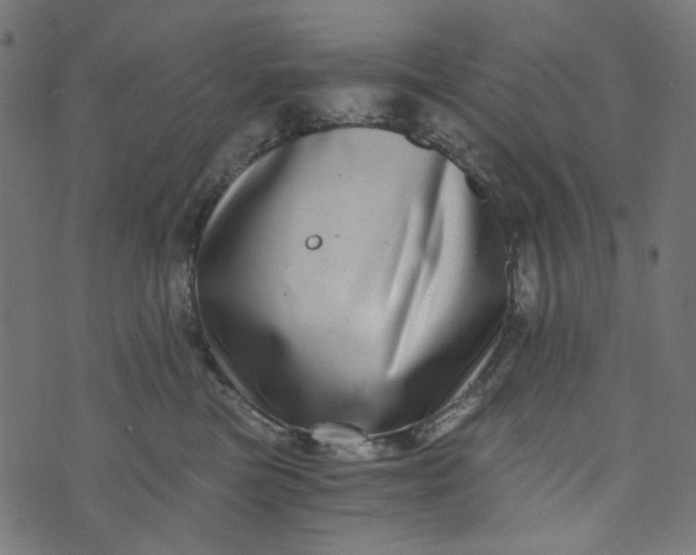 X0000073720473200608171208