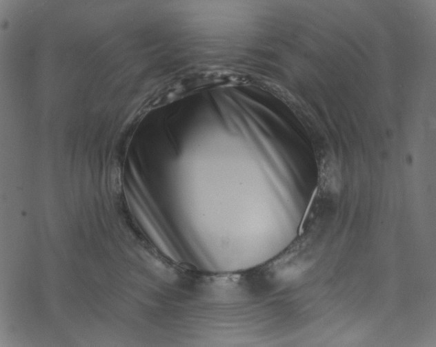 X0000073720474200608171208