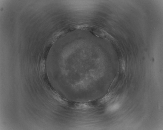 X0000073720475200608171208