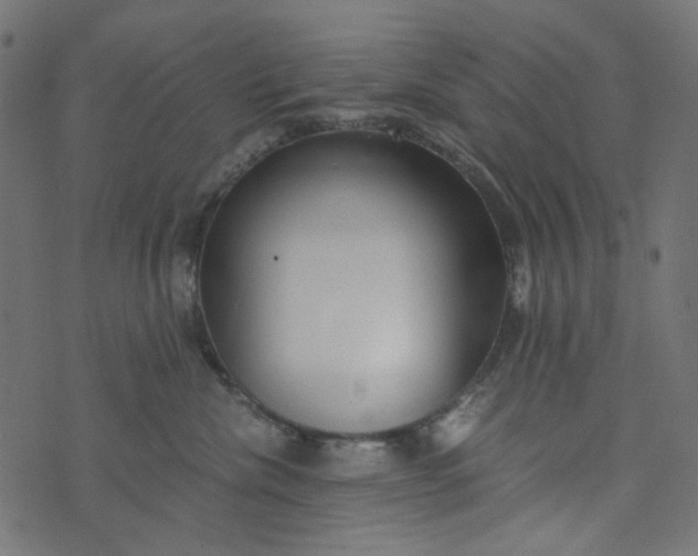 X0000073720476200608171208