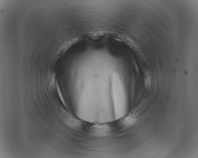 X0000073720477200608171208