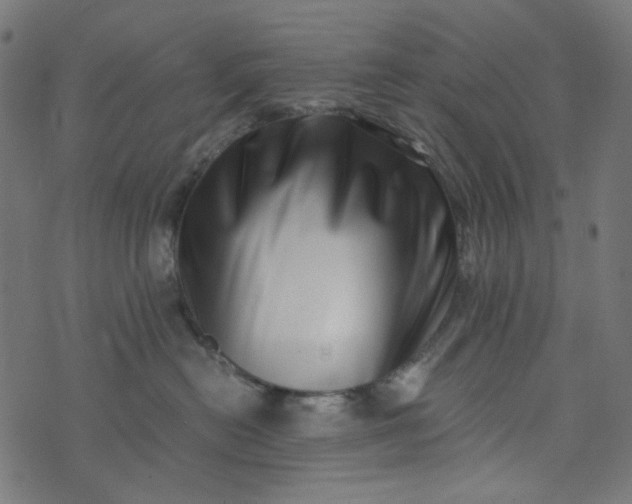 X0000073720478200608171208