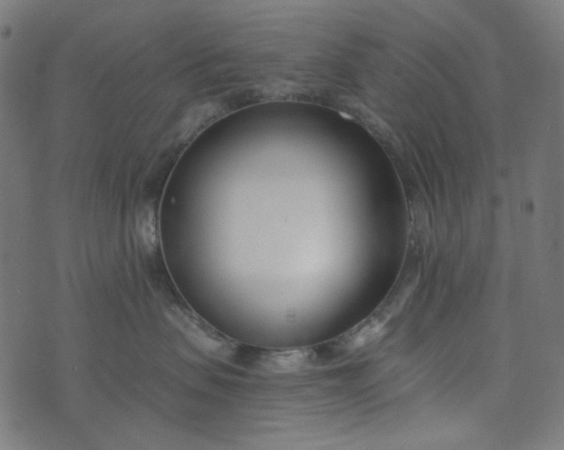 X0000073720479200608171208