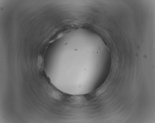 X0000073720480200608171208