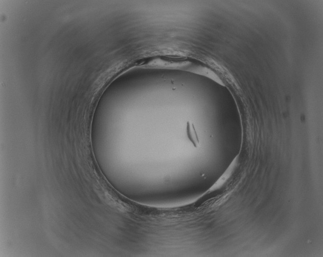 X0000073720481200608171207