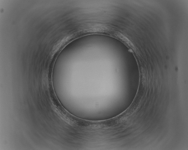 X0000073720482200608171207