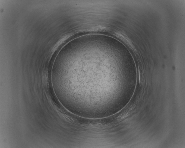 X0000073720483200608171207