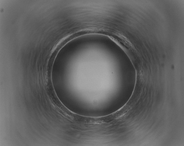 X0000073720484200608171207