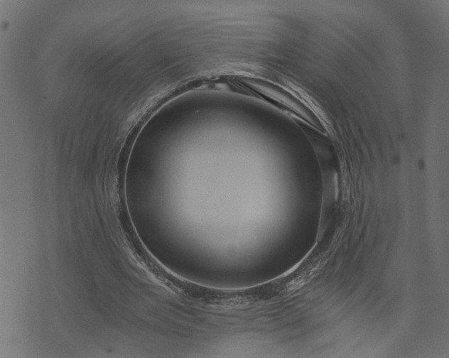 X0000073720485200608171207