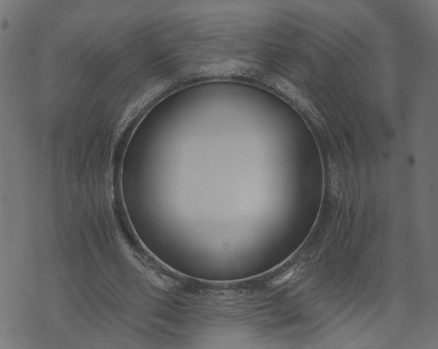 X0000073720486200608171207