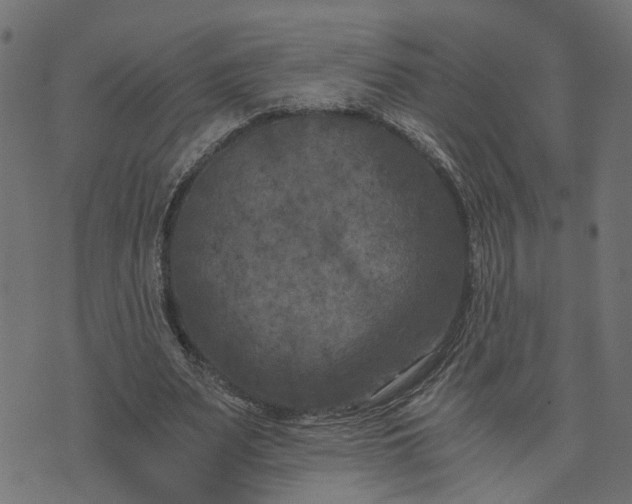 X0000073720487200608171207