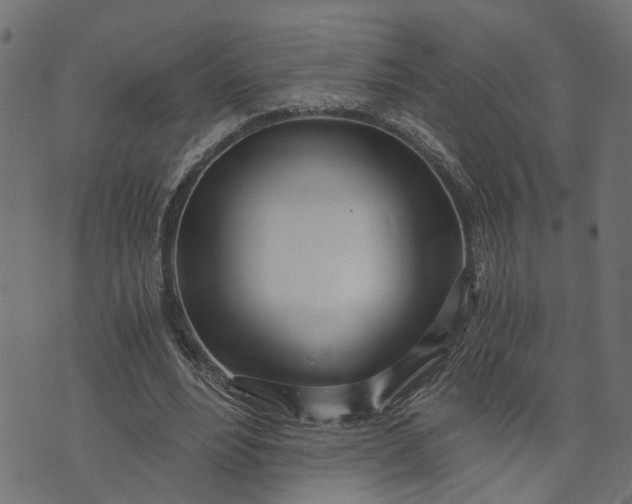 X0000073720488200608171207