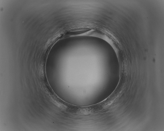 X0000073720489200608171207