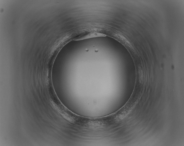 X0000073720490200608171207