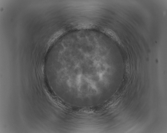 X0000073720491200608171207