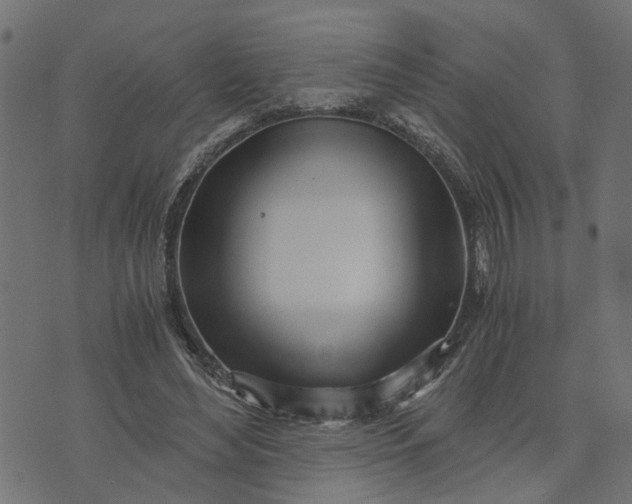 X0000073720492200608171207