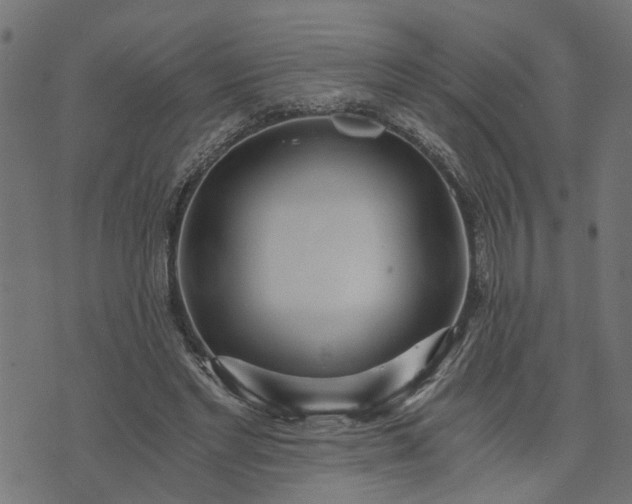 X0000073720493200608171207