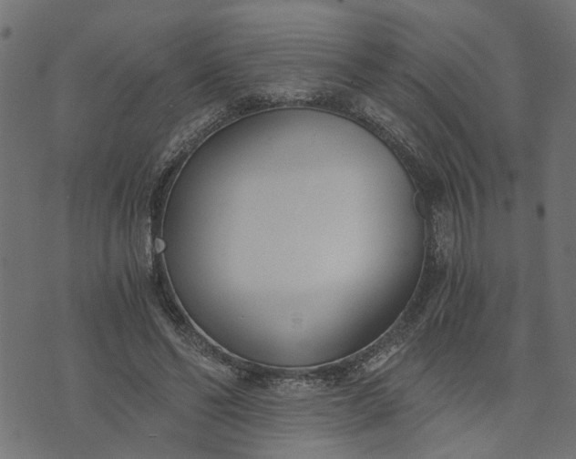 X0000073720494200608171207