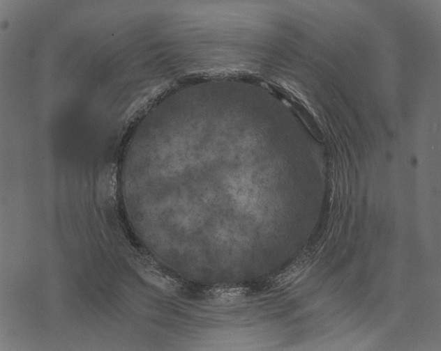 X0000073720495200608171207