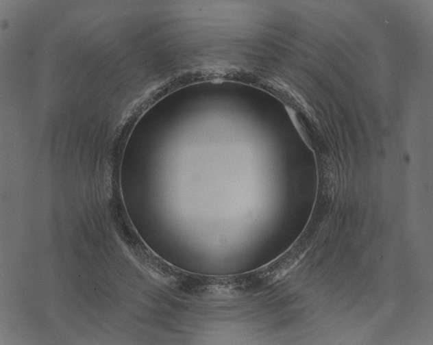 X0000073720496200608171207