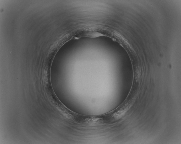 X0000073720497200608171207