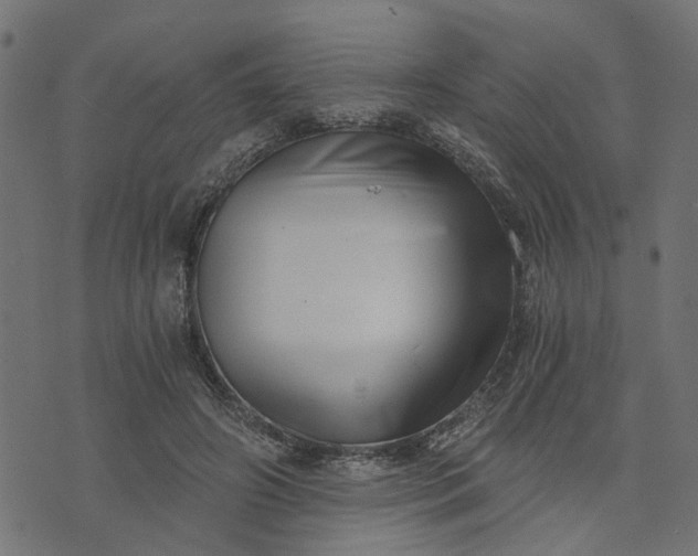 X0000073720498200608171207