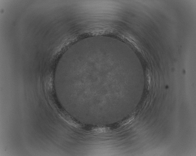 X0000073720499200608171207