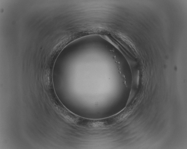 X0000073720501200608171207