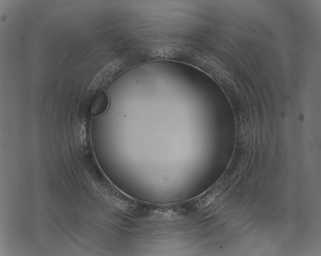 X0000073720502200608171207