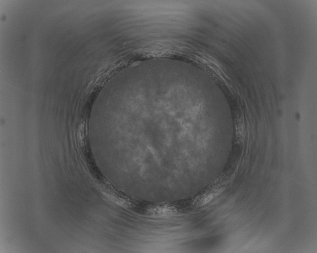 X0000073720503200608171207