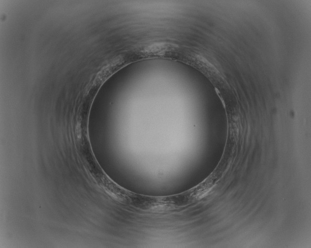 X0000073720504200608171207