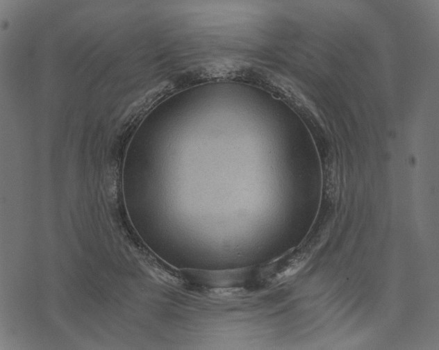 X0000073720505200608171207